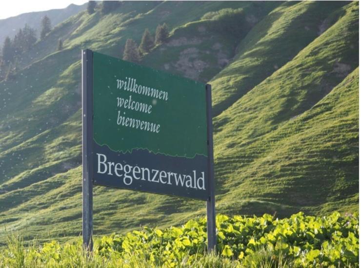Apartment Klausbruecke Mellau Zewnętrze zdjęcie