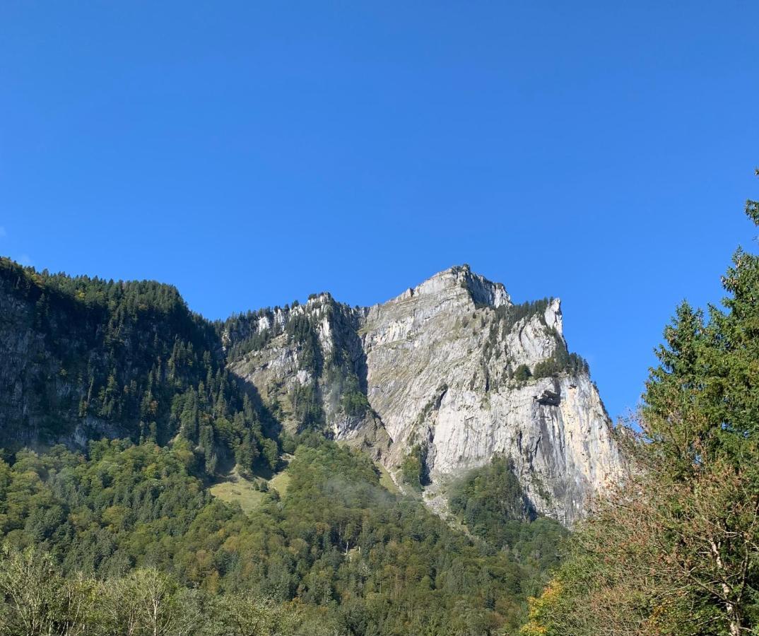 Apartment Klausbruecke Mellau Zewnętrze zdjęcie
