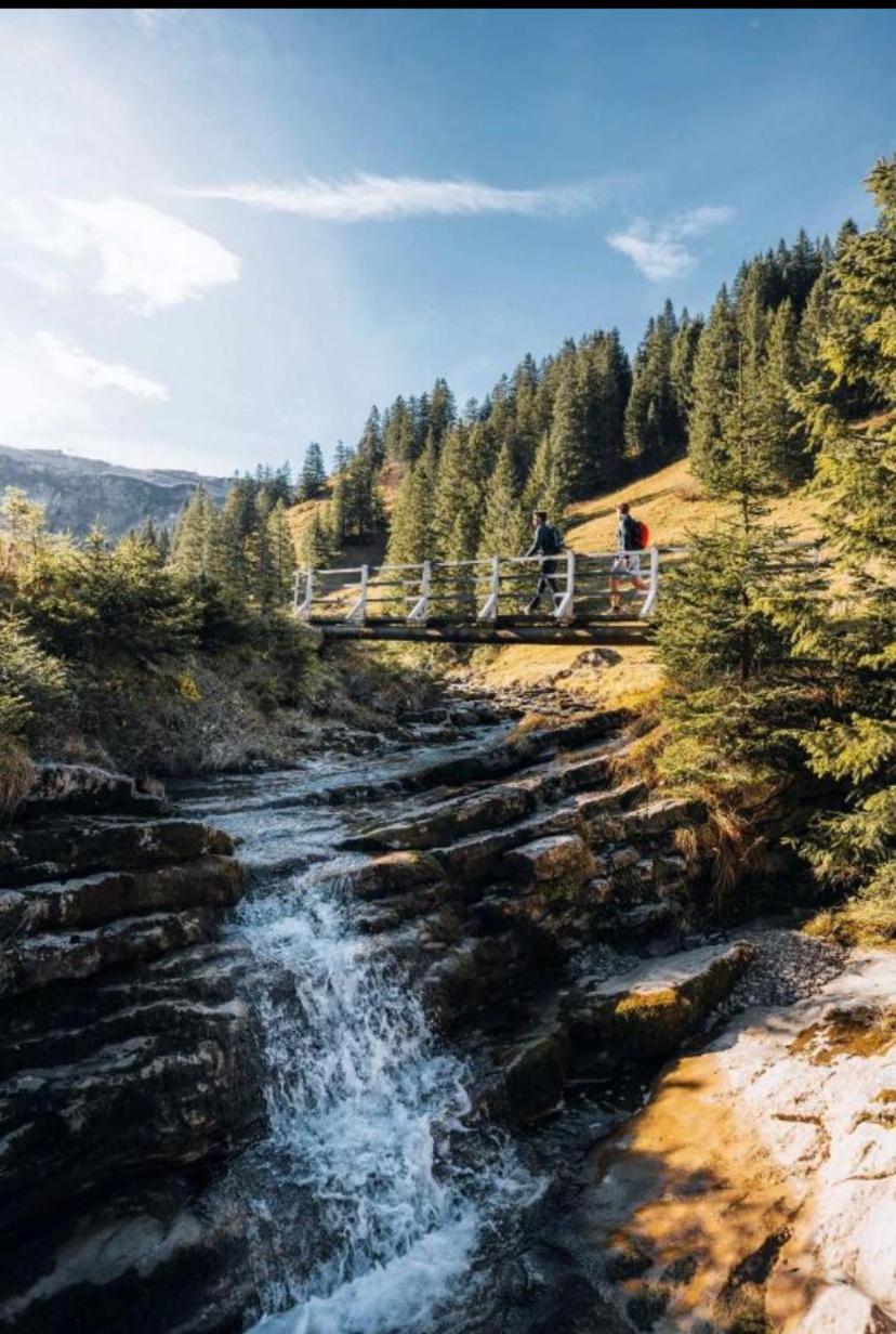 Apartment Klausbruecke Mellau Zewnętrze zdjęcie